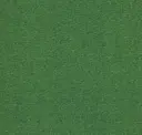 Emerald Stone