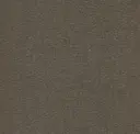 Fossil