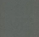 Meteor