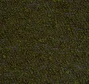 Kudzu