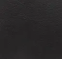 Onyx