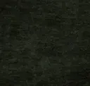 Kudzu