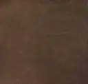 Mocha