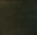 Fir