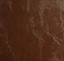 Cedar