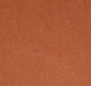 Tangerine