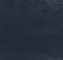 Regatta