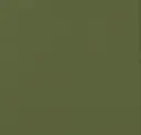 Wasabi