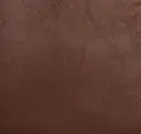Ale