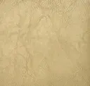 Chamois