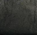 Coal