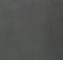 Seagull