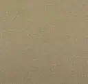 Plaster