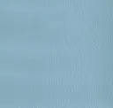 Ice Blue