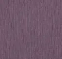 Aubergine
