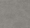 Spur