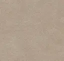 Birch