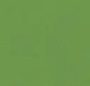 Creme De Menthe
