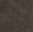 Buck