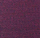 Boysenberry