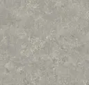 Jurassic Slab