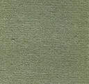 3725 Olivo