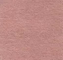 4064 Rosa