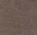 4972 Tortora