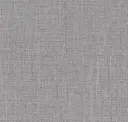 Silver Thread