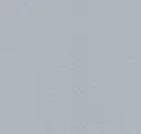 Silver Gray