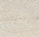 Bone