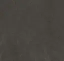 Dark