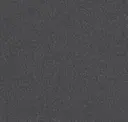 Iron