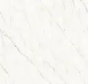 Sp03-01