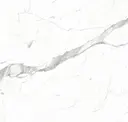 Sp03-03
