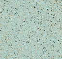 Seafoam