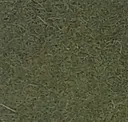 Fern Green