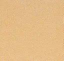 Goldenrod