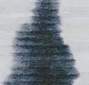 Shoreline