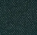 9705 Foresta