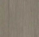 Conifer