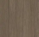 Elm