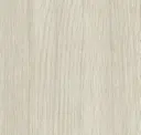 Poplar