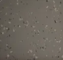 202
