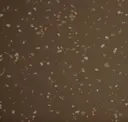 301