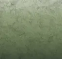 Forest Haze