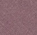 Elderwine