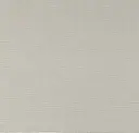 Dusky Ivory