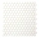 Arctic White