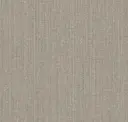 Sparrow